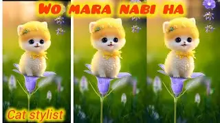 Wo mara nabi ha ||  cat naat singing || billi wali naat || #catstyle
