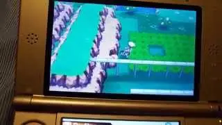 Using the Arco Bike in Safari Zone  Alpha Sappire/Omega Ruby