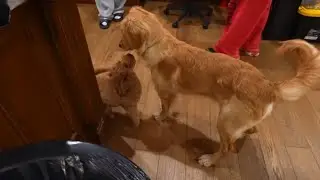 Mica & Milo Have An Aura Off