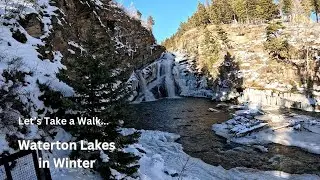Waterton Winter Walk, Let's Take a Walk