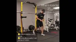 Performance Fitness Training-Assessing Stability and Power