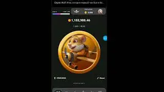 Hamsta pilot daily cipher code |  daily challenge | হামস্টা পাইলট এর আজকের ডেলি কোড