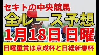中央競馬全レース予想-1月18日 日曜日