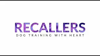 Dog training using Recallers games is dog training with heart