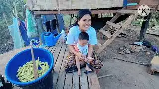 26 ธันวาคม ค.ศ. 2025