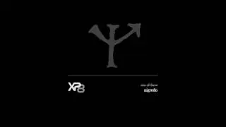 XP8 