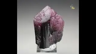 #22282 - TOURMALINE var. RUBELLITE, Palelni mine, Myanmar [Burma]