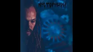 Nyctophungi Live set Dragon Dreaming 2025