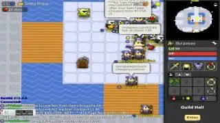 ROTMG, Pet Yard, Vault , and Guild Hall