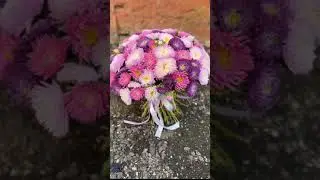 Простороза.ру - букет из 51 астры +7(495)2550142