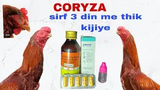 CORYZA bimari ko 3 din me thik kijiye...