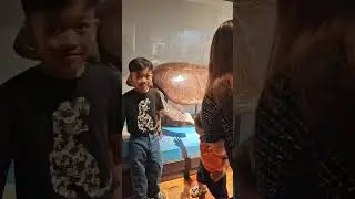 Museum 2026 #museum 