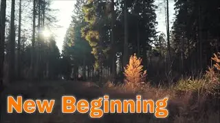 Sk Hall & Ludwiig - New Beginning [Music video]