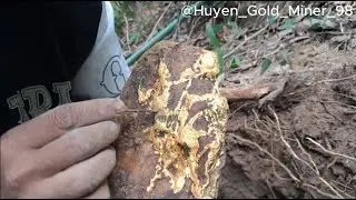 Gold Found Beneath Burnt Rock on a Steep Mountainside