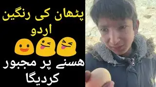 Funny pathan video clips | urdu pashto mix talking