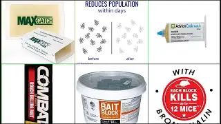 Top 10 Pest Control Baits and Lures You Can Buy  March 2023