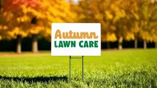 Autumn Lawn Care Essentials
