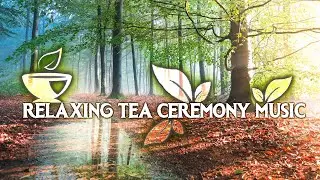 Japanese Music Tea Ceremony ● Nature Inspiration ● Morning, Zen Meditation Music for Yoga 352