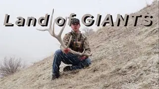 Land of GIANTS | Shed Hunting Elk 2025 | 4K