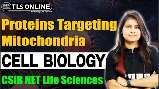 Proteins Targeting Mitochondria I Cell Biology | CSIR NET Life Sciences 2025 | Shruti Shukla