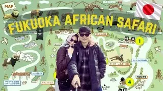 Kyushu Wildlife Park African Safari | Japan