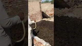 Cow Dung Decomposition Process 🪱| Fast & Natural Composting Method! #shorts #trending #fyp #compost