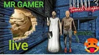 MR Gamer  granny game live