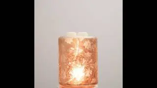 Review of Silver Stem Mini Plugin/ Tabletop Scentsy Warmer From New Inspire Collection 2026