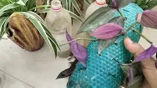 plastic ke bottle ka beautiful hanging planter banane ka tarika
