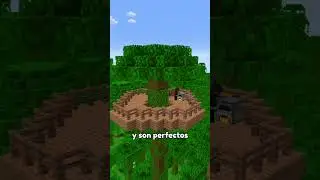 Hacks de construcci&oacute;n para Minecraft 20! 🤫