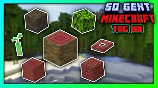 ALLES zum Mangroven Sumpf in Minecraft (Sumpf finden & Holz farmen) 🔸 So geht Minecraft - Tag 88
