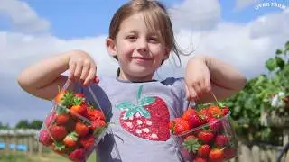 Pick Your Own at Over Farm 2020
