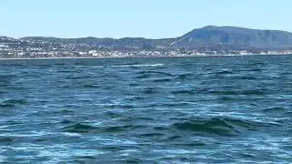 Wait for it!!!! 