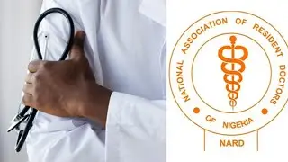 NARD Gives FG Four-week Ultimatum, Extends Strike Suspension
