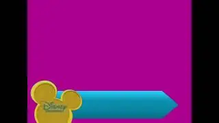 Disney Channel Promotion Banner (Yellow Logo & Turquoise Ribbon) 2007-2008