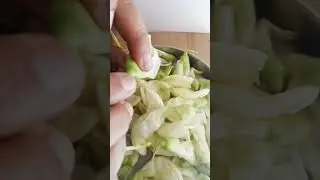 Agathipoov cleaning before cooking