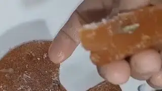 Carrot desert 🏝️