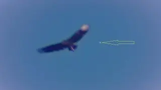 Plasmoid Anomaly p2 02/24/17 5:26pm EST.