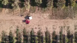 Burro Grande with  Mower in Orchard