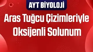 44) Aras Tuğcu Çizimleriyle Oksijenli Solunum