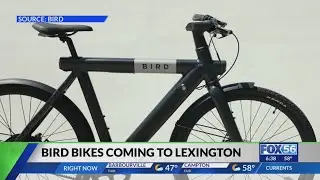 Bird bikes coming to Lexington