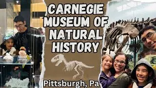 Visiting Pittsburgh Carnegie Museum of Natural History