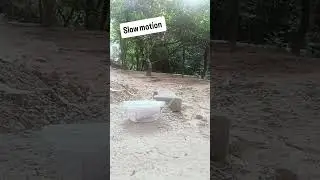 My first video please support me 🙏#experiment #viral #youtube#firecrackers