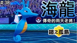 【雨天隊的元老級人物】寶可夢劍盾雙打對戰 VS刺龍王 「海龍」p38