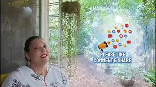 Special Channeled Messages from Heaven for the Fourth Week of September | #heaven #jannat #tarotcard