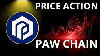PAW CHAIN |PRICE ACTION |APA MASIH BERTAHAN ?03/01/2026