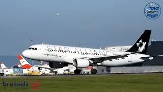 Brussels Airlines - OO-SNP (Star Alliance Livery) - Vienna International Airport