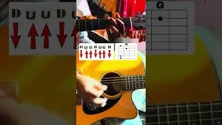 You Can Play Guitar Too , Let&rsquo;s to learn #guitar #guitarchords #acousticguitar #shorts