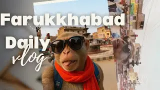 👉 Monkey Vlog Farukkhabad | Desi Monkey Adventure | Funny Viral Monkey #monkeyvlogs #youtube #ai