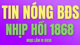 Nhận định thị trường chứng khoán hàng ngày | Phân tích vnindex, cổ phiếu tiềm năng hôm nay- NGỌC LÂM